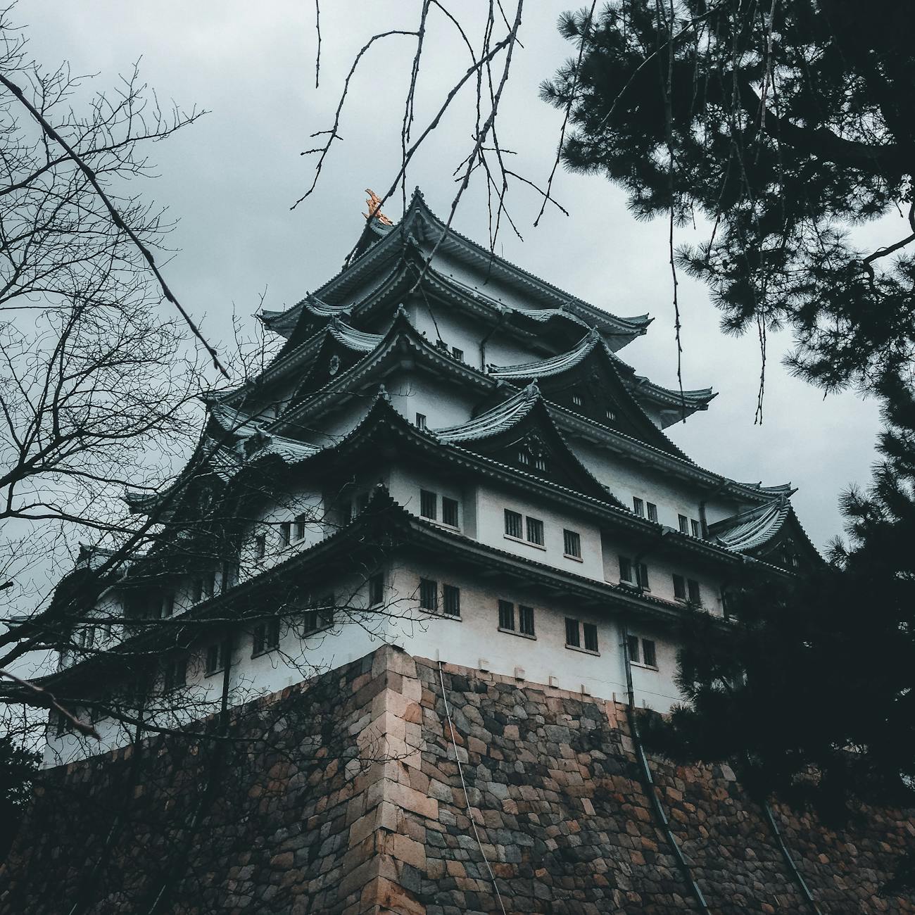 大塩平八郎の乱とは？江戸時代後期に起きた反乱