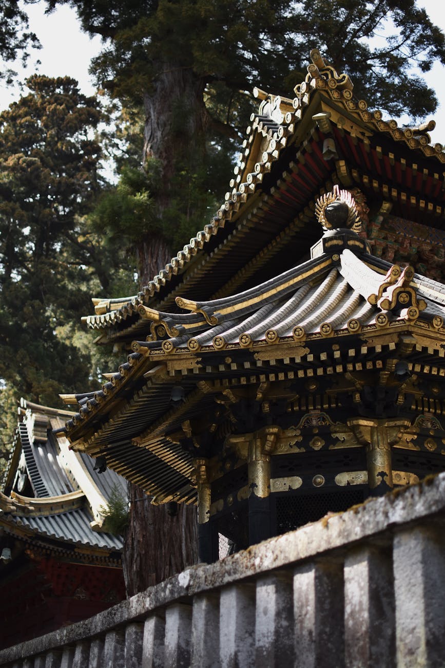 日光東照宮の見どころと巡り方