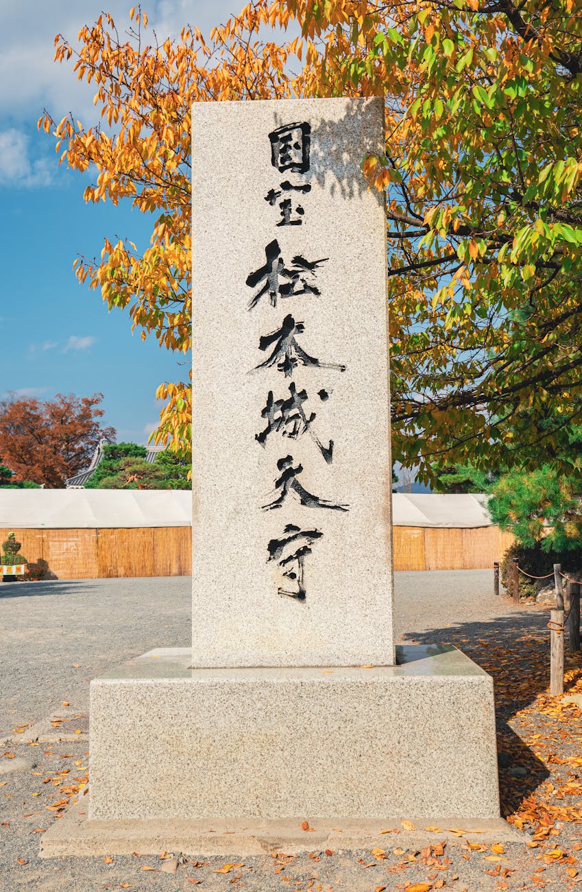 織田信長の家系図を詳しく見る