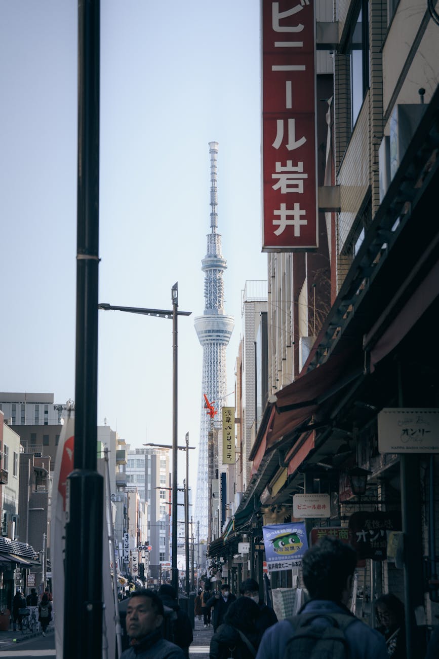 徳川綱吉とはどんな人物?