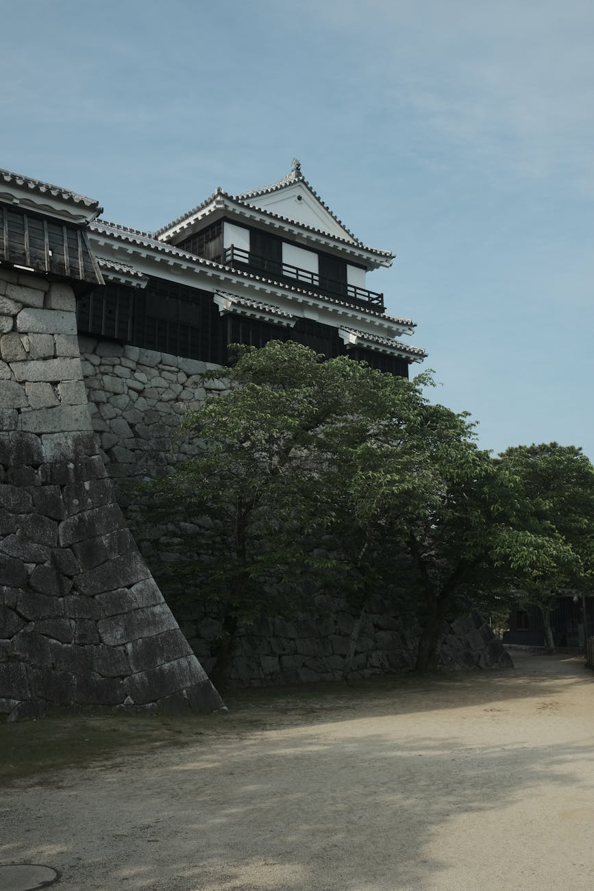 信長の子孫と戦国時代のつながり
